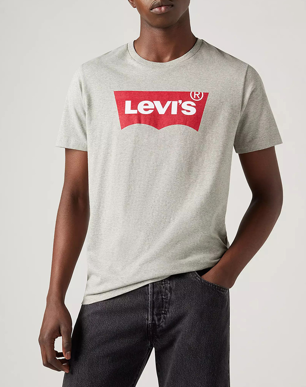 Levis Graphic Set In Neck Ανδρας Ρουχα Μπλουζες T Shirt Gray Βαμβακι 17783 0138 0138