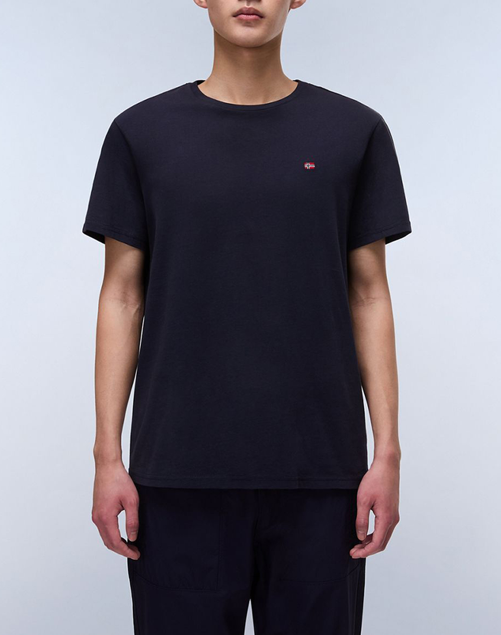 Napapijri Salis Ss Sum Ανδρας Ρουχα Μπλουζες T Shirt Darkblue Βαμβακι Np0a4h8d Np176 - Koolfly