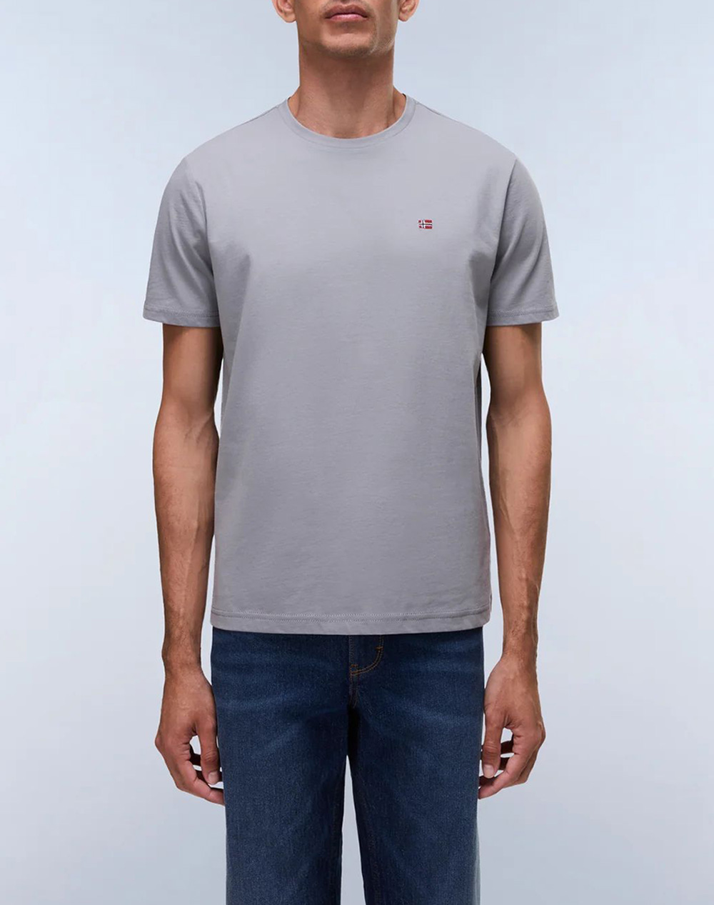 Napapijri Salis Ss Sum Ανδρας Ρουχα Μπλουζες T Shirt Gray Βαμβακι Np0a4h8d Nphcb - Koolfly