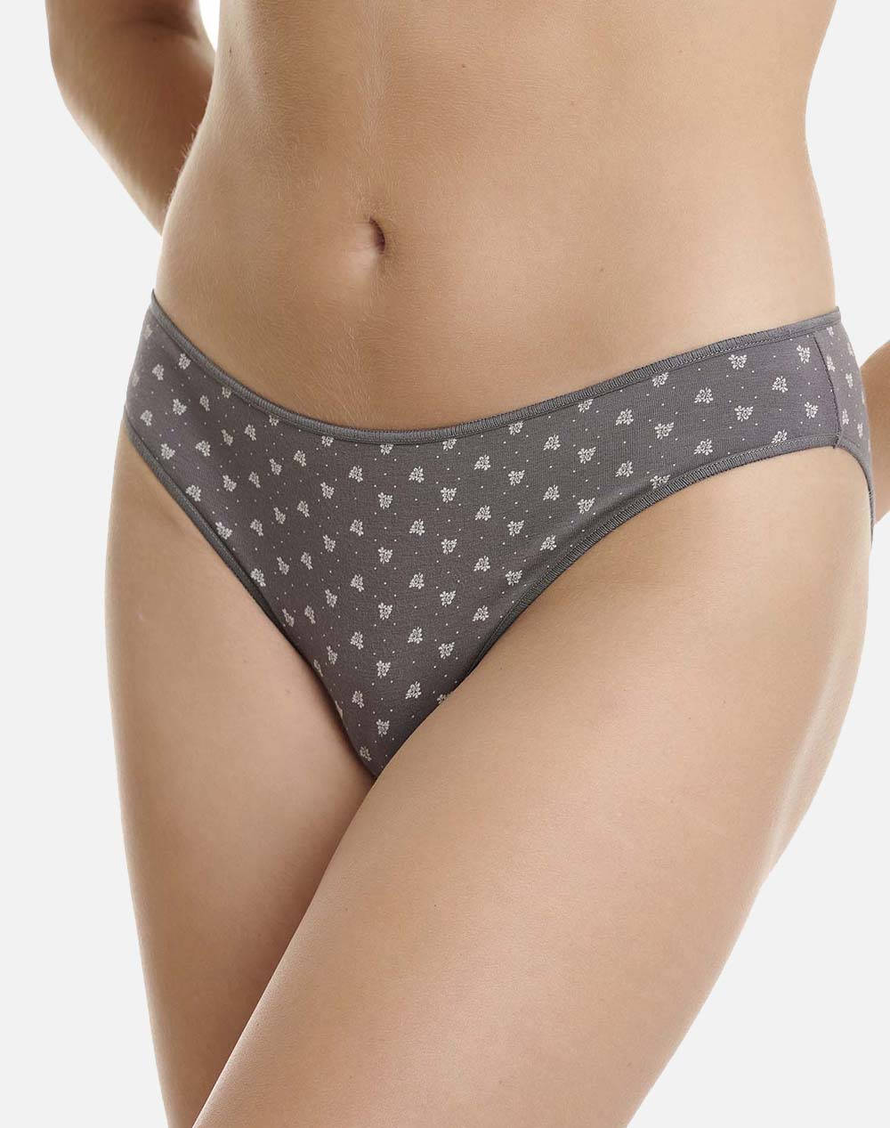 Walk Women''S Slip Bamboo With Winter Pattern 2Pcs Women Underwear Briefs Briefs Gray Elastic,Synthetic W2012 76 Multi/Multicolour Female Briefs