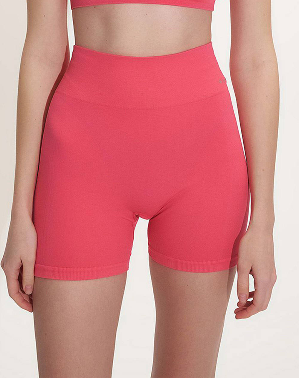 Sugarfree Shorts Women Sportswear Bottom Clothing Leggings Coral Elastic,Synthetic 25840040 622 Female Leggings