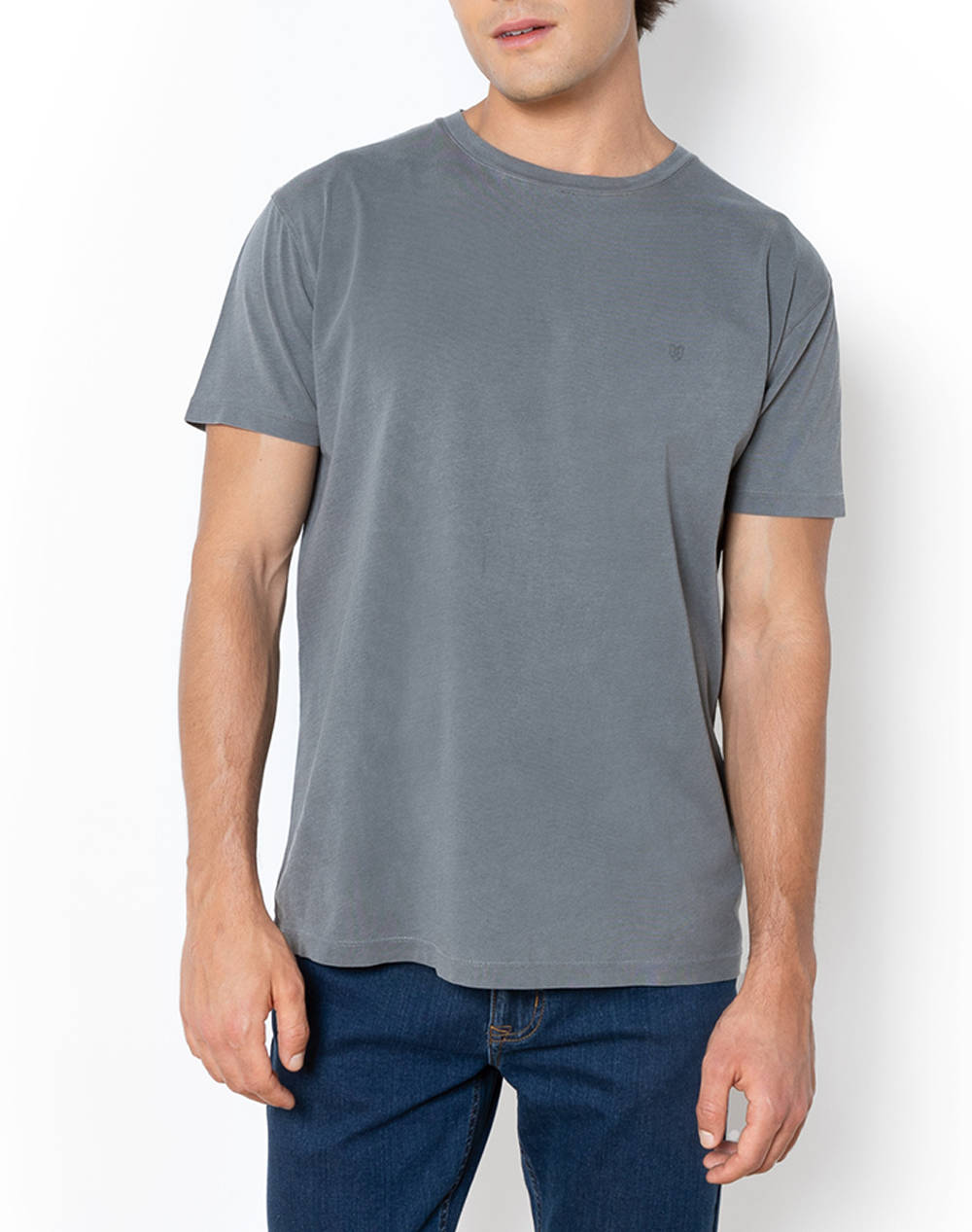 Bostonians T Shirt Delave Regular Fit Men Clothes T Shirts & Sweatshirts T Shirts Darkgray Cotton 3Ts1250 Dark Male T-Shirts