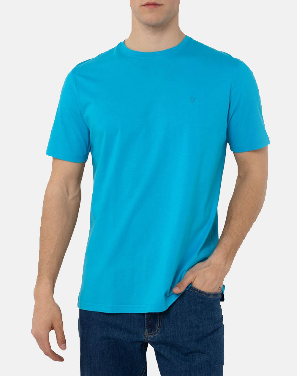 The Bostonians Essential T Shirt Regular Fit Men Clothes T Shirts & Sweatshirts T Shirts Turquoise Cotton 3Ts1241N Turquoise Male T-Shirts