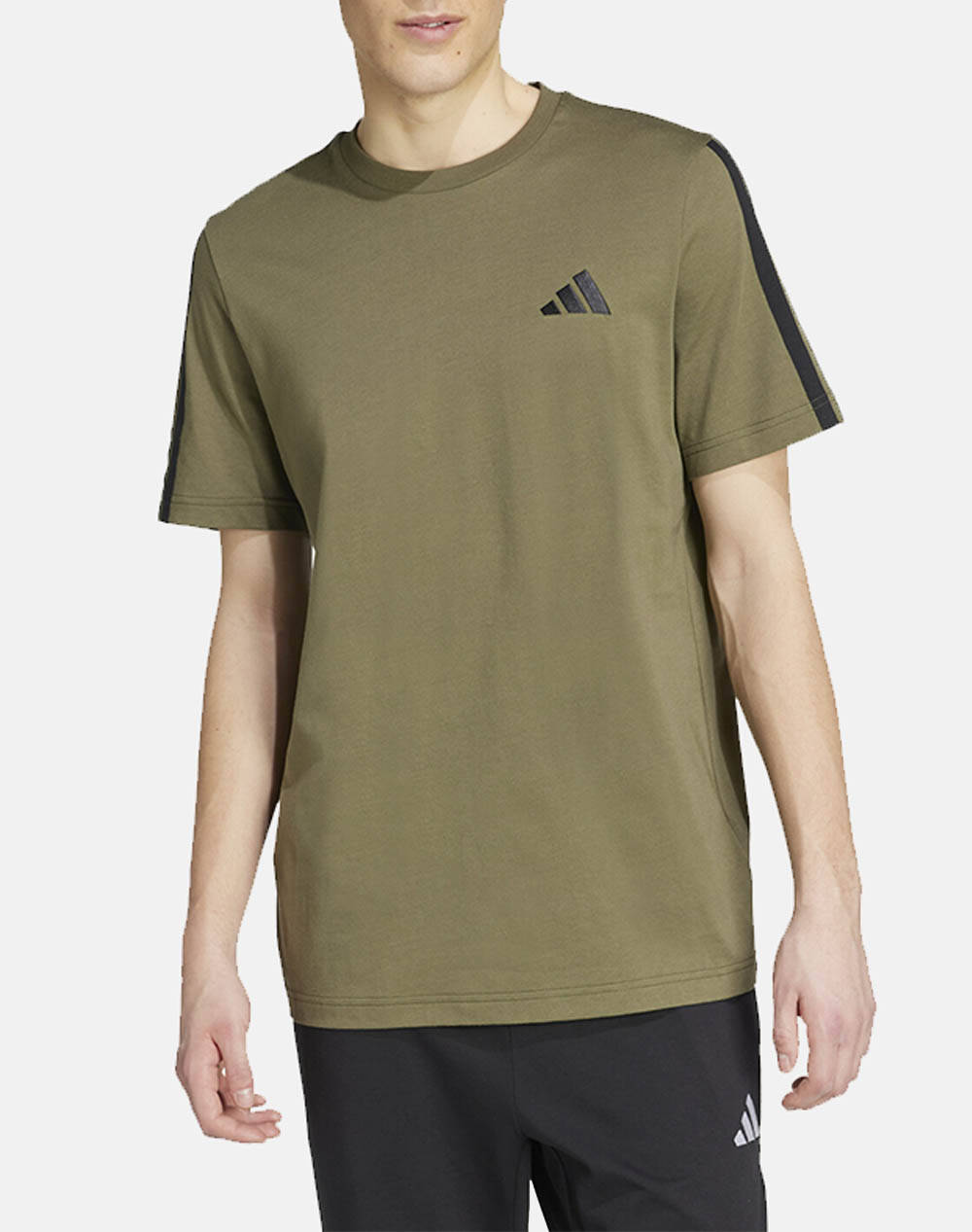 Adidas M 3S Sj T Men Clothes T Shirts & Sweatshirts T Shirts Olive Cotton Jy1558 Olistr Male T-Shirts