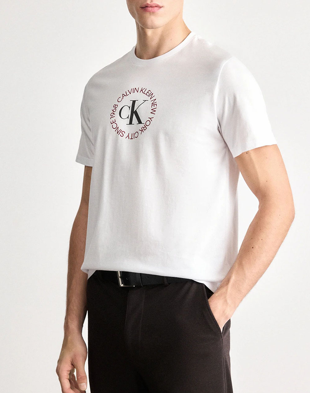 Calvin Klein Jeans Ss 30S Whsl Ck Word Circle Graph Ανδρας Ρουχα Μπλουζες T Shirt White Βαμβακι Lv14Re816G Yaa