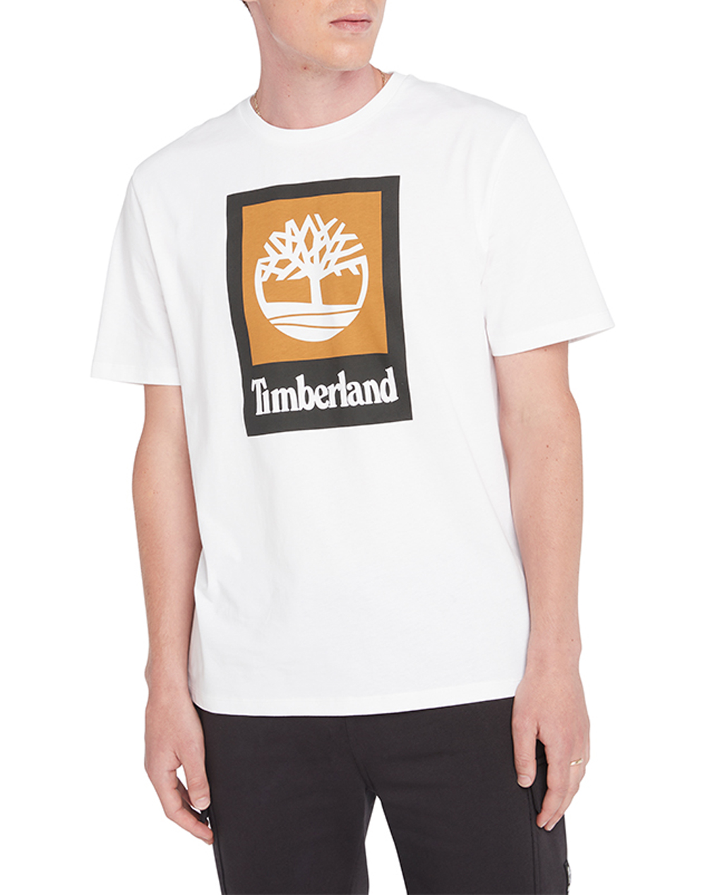 Timberland Colored Short Sleeve Tee Ανδρας Ρουχα Μπλουζες T Shirt White Βαμβακι Tb0A5Qs2 100
