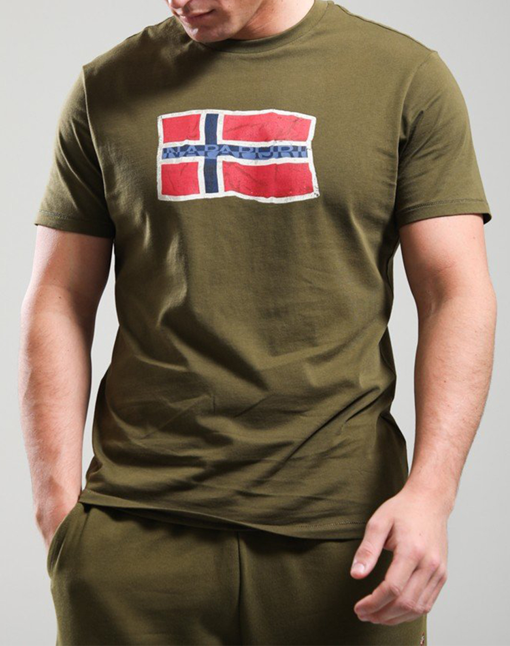 Napapijri S Mahsa Ss Ανδρας Ρουχα Μπλουζες T Shirt Olive Βαμβακι Np0A4Fzb Npg3A